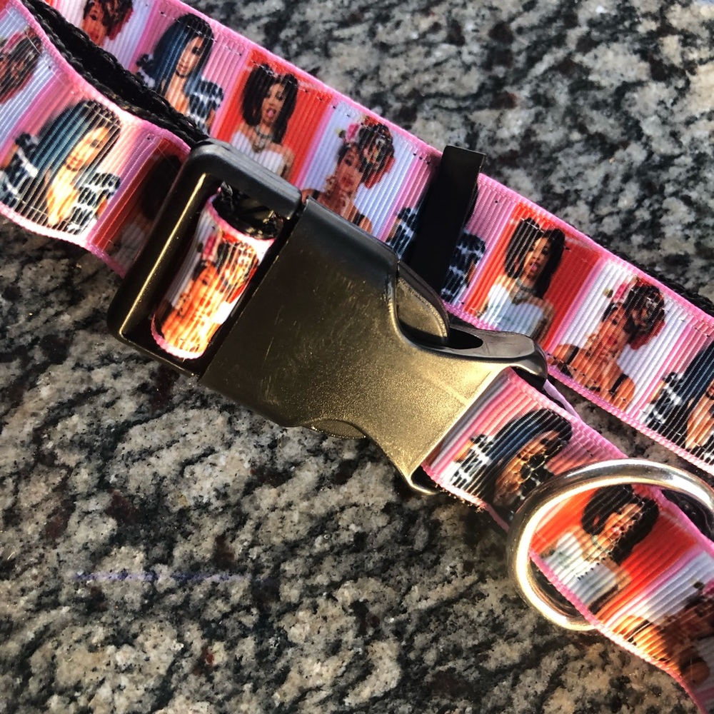 Cardi B Dog pet cat collar leash bundle gift set fashion icon rapper music lot - Picture 3 of 5